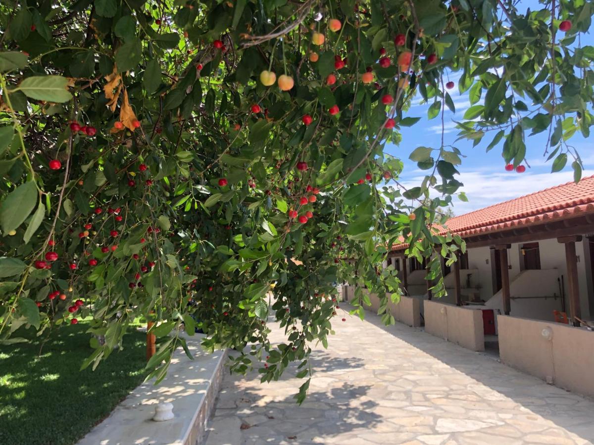 Gregory'S Village Плати Екстериор снимка